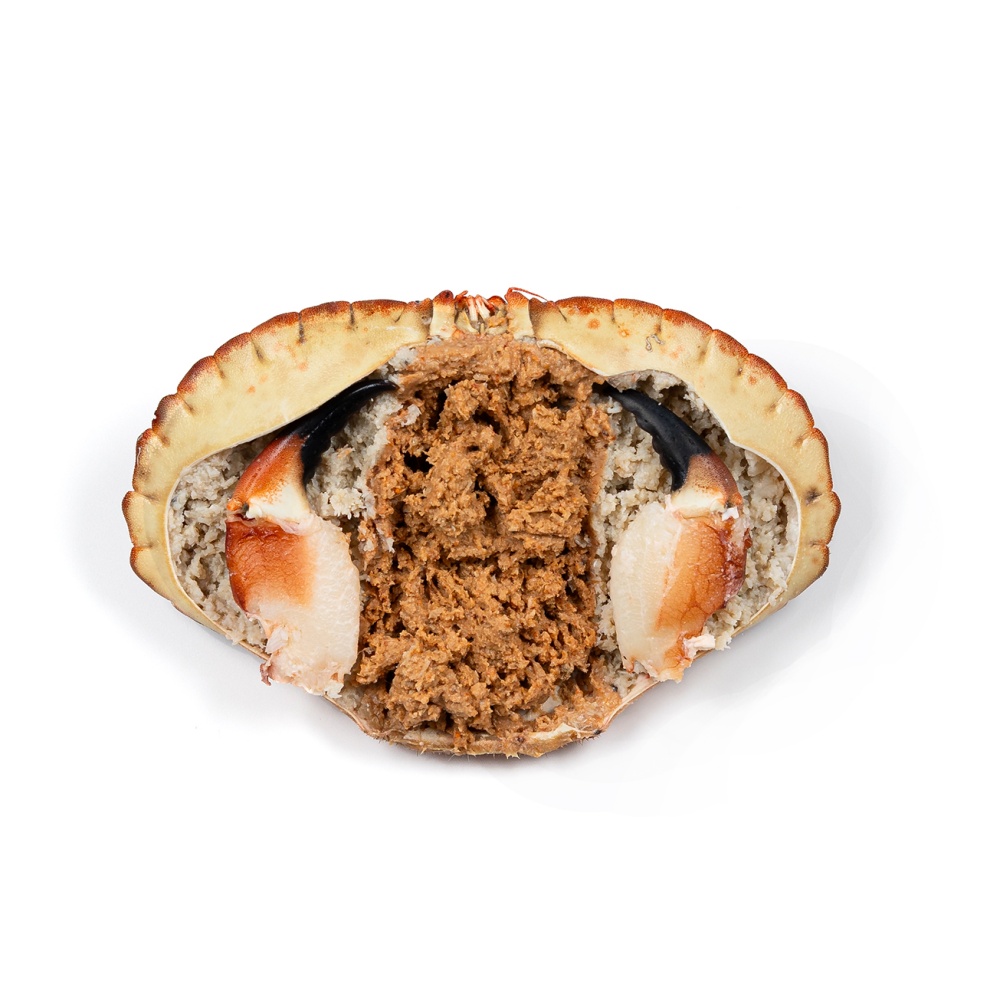 Dressed Crab