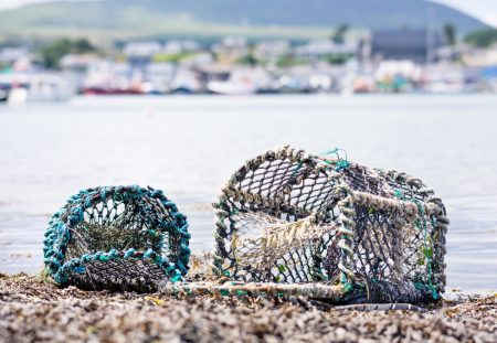 Sustainable Irish Shellfish