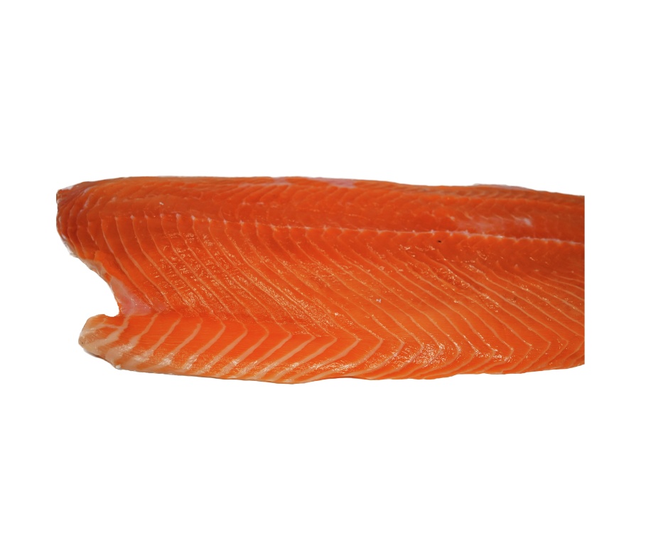 Salmon Fillet
